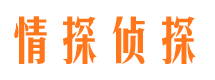 成县市调查公司